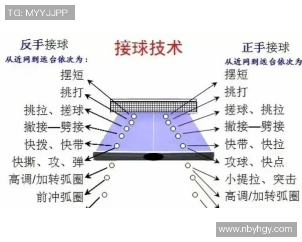 乒乓球技术与战术的完美结合：从基础入门到竞技高手的全面解析
